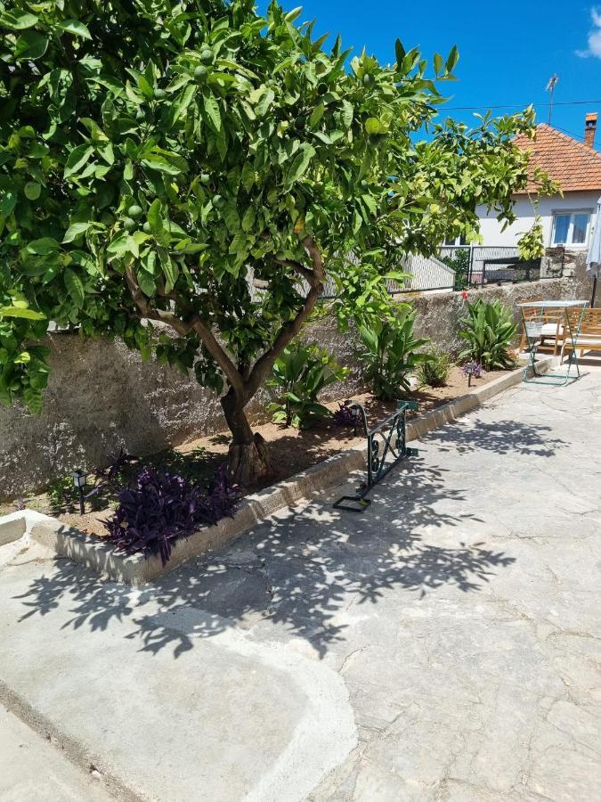 Apartmani Barbarosa Sveti Filip i Jakov Esterno foto